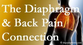 Minster Chiropractic Center recognizes the relationship of the diaphragm to the body and spine and back pain. 