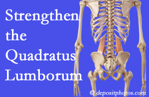 Minster chiropractic care proposes exercise recommendations to strengthen spine muscles like the quadratus lumborum as the back heals and recovers.