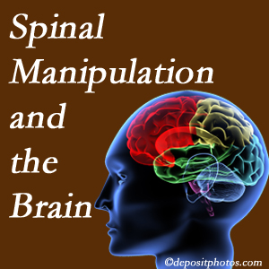 Minster Chiropractic Center [shares research on the benefits of spinal manipulation for brain function. 